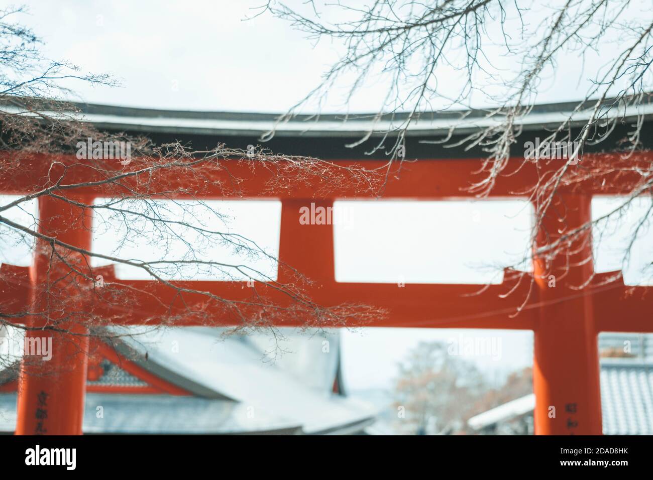 Porte torii rosse al Santuario di Fushimi Inari Taisha a Kyoto, Giappone Foto Stock