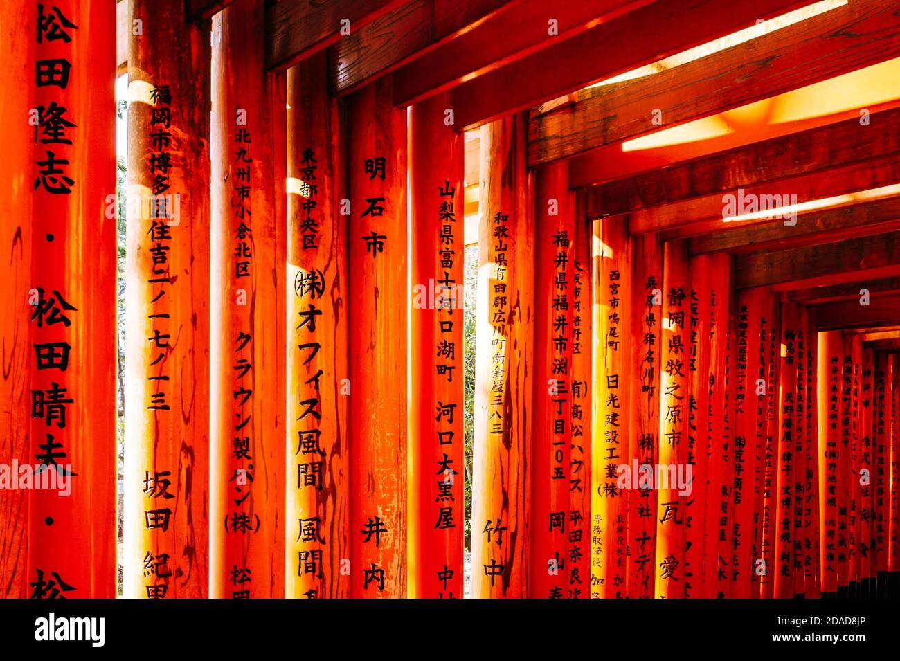 Migliaia di porte torii rosse al Santuario di Fushimi Inari Taisha a Kyoto, Giappone Foto Stock
