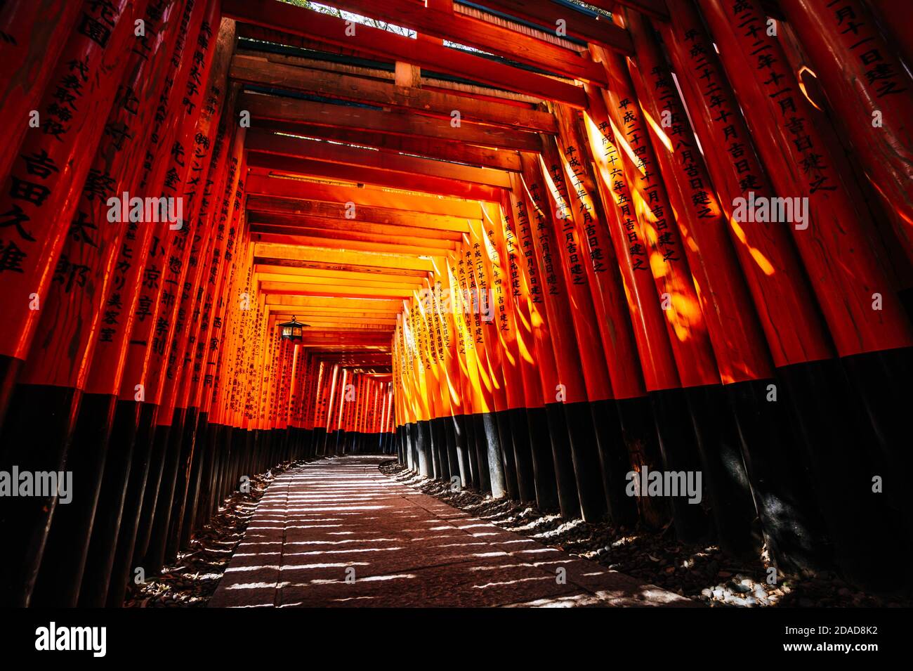 Migliaia di porte torii rosse al Santuario di Fushimi Inari Taisha a Kyoto, Giappone Foto Stock