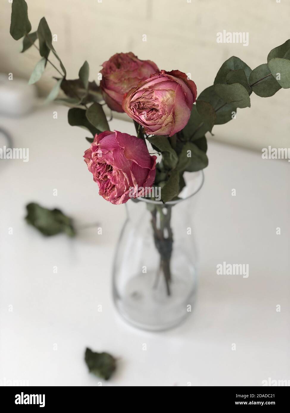 rose appassite in vaso con acqua, fuoco morbido Foto Stock
