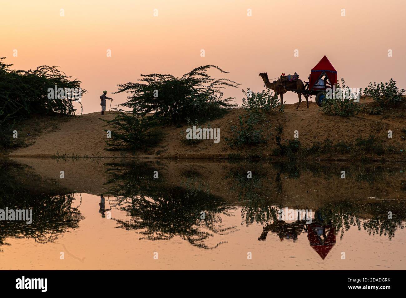 riflesso di un carretto di cammello e di un uomo in acqua. Foto Stock