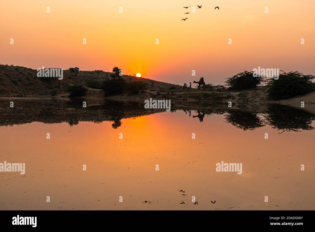 vista di un bellissimo tramonto, gli uccelli stanno volando e riflesso di cart cammello Foto Stock