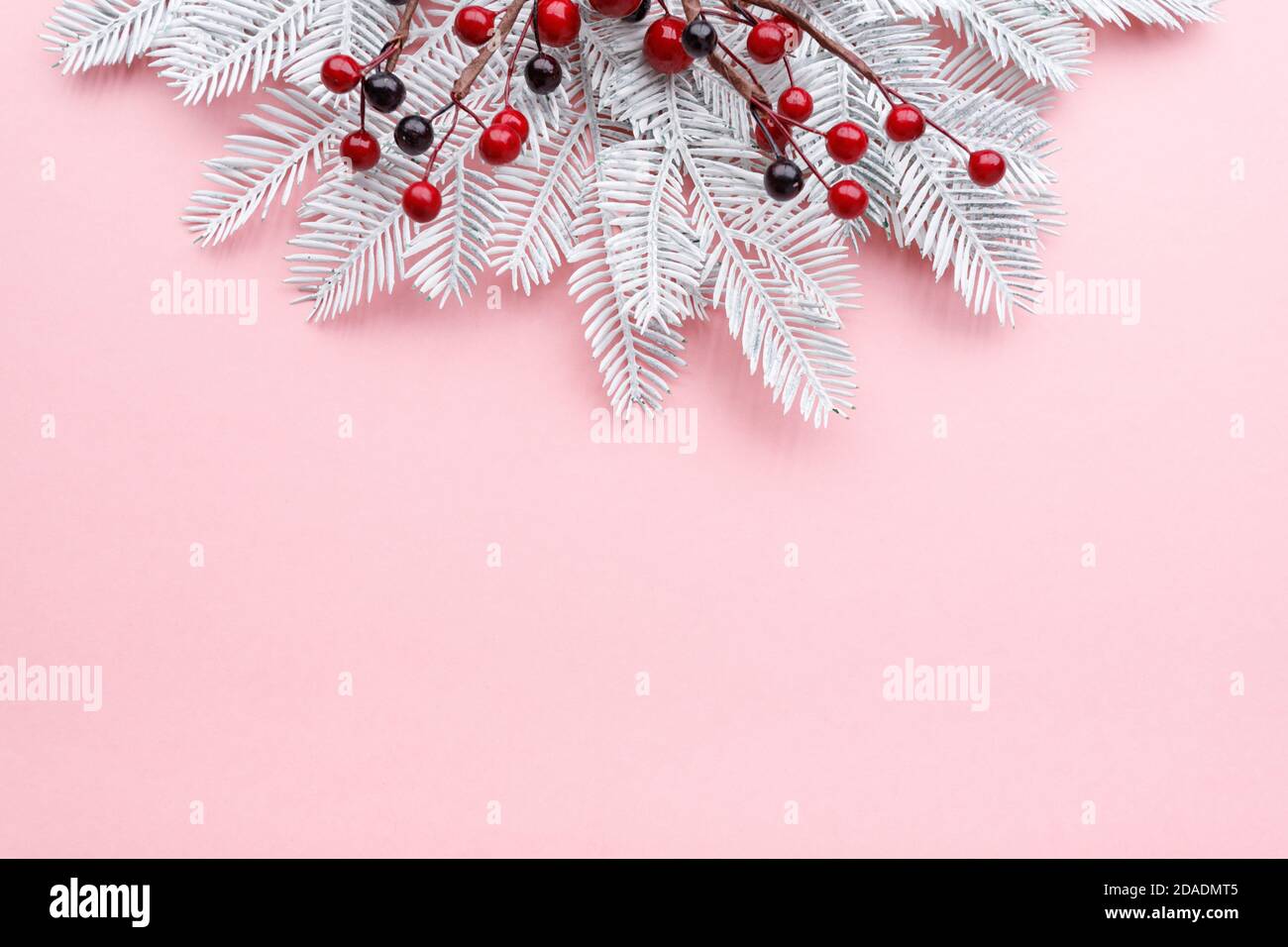 Confine natalizio con rami di abete bianco e bacche rosse sfondo rosa pastello Foto Stock