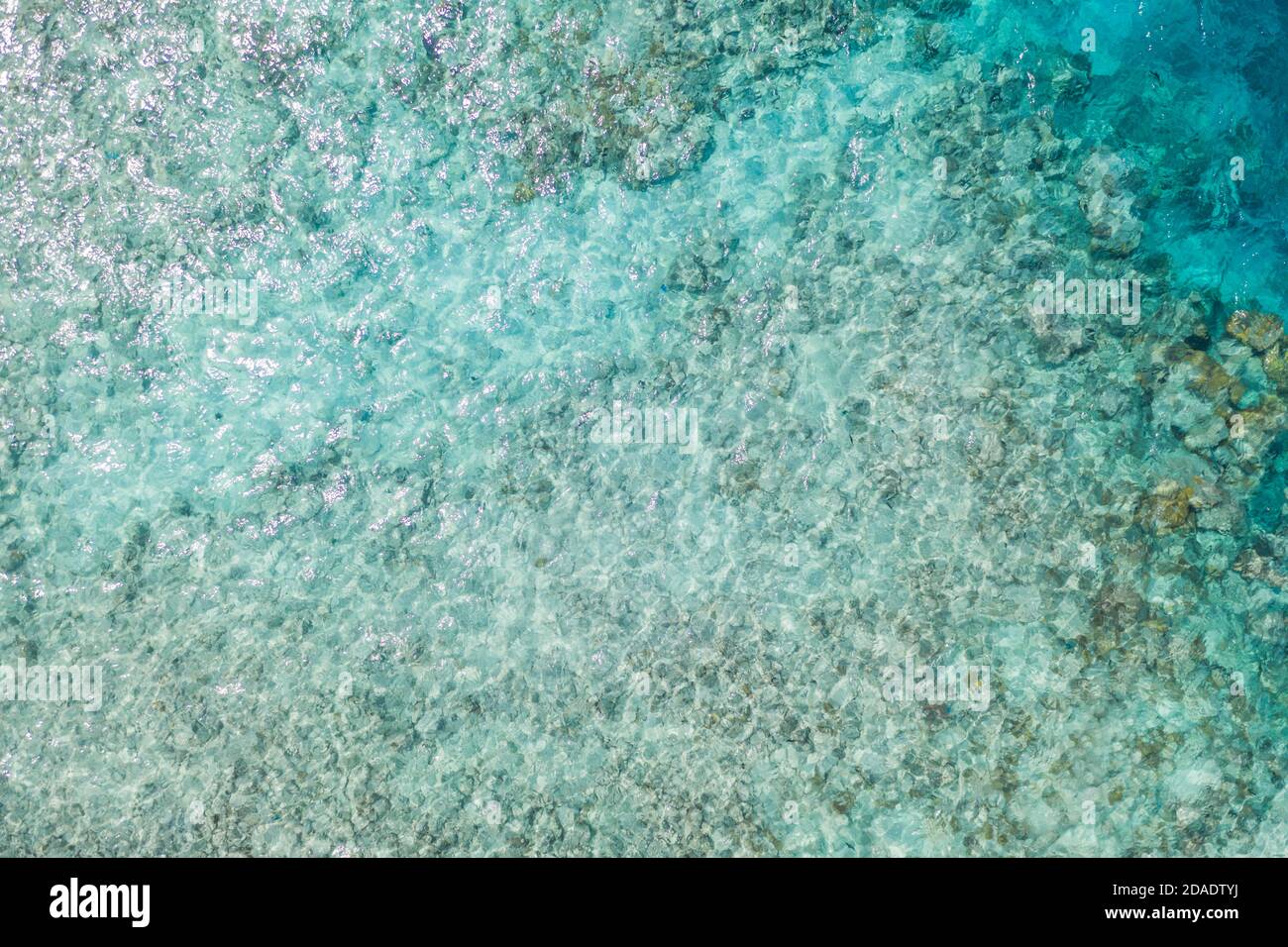 Splendida vista dall'alto della barriera corallina, della spiaggia, della laguna tropicale dell'oceano, delle acque marine poco profonde. Incredibile foto di drone aereo. Esotico motivo tropicale naturale Foto Stock