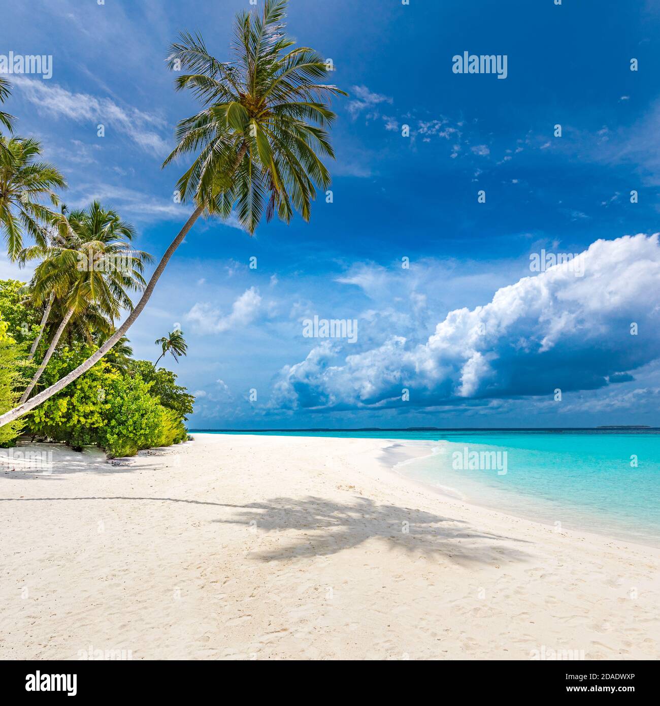 Maldive paradiso spiaggia tropicale. Vista incredibile, acque turchesi blu della laguna, palme e spiaggia di sabbia bianca. Destinazione turistica di lusso Foto Stock