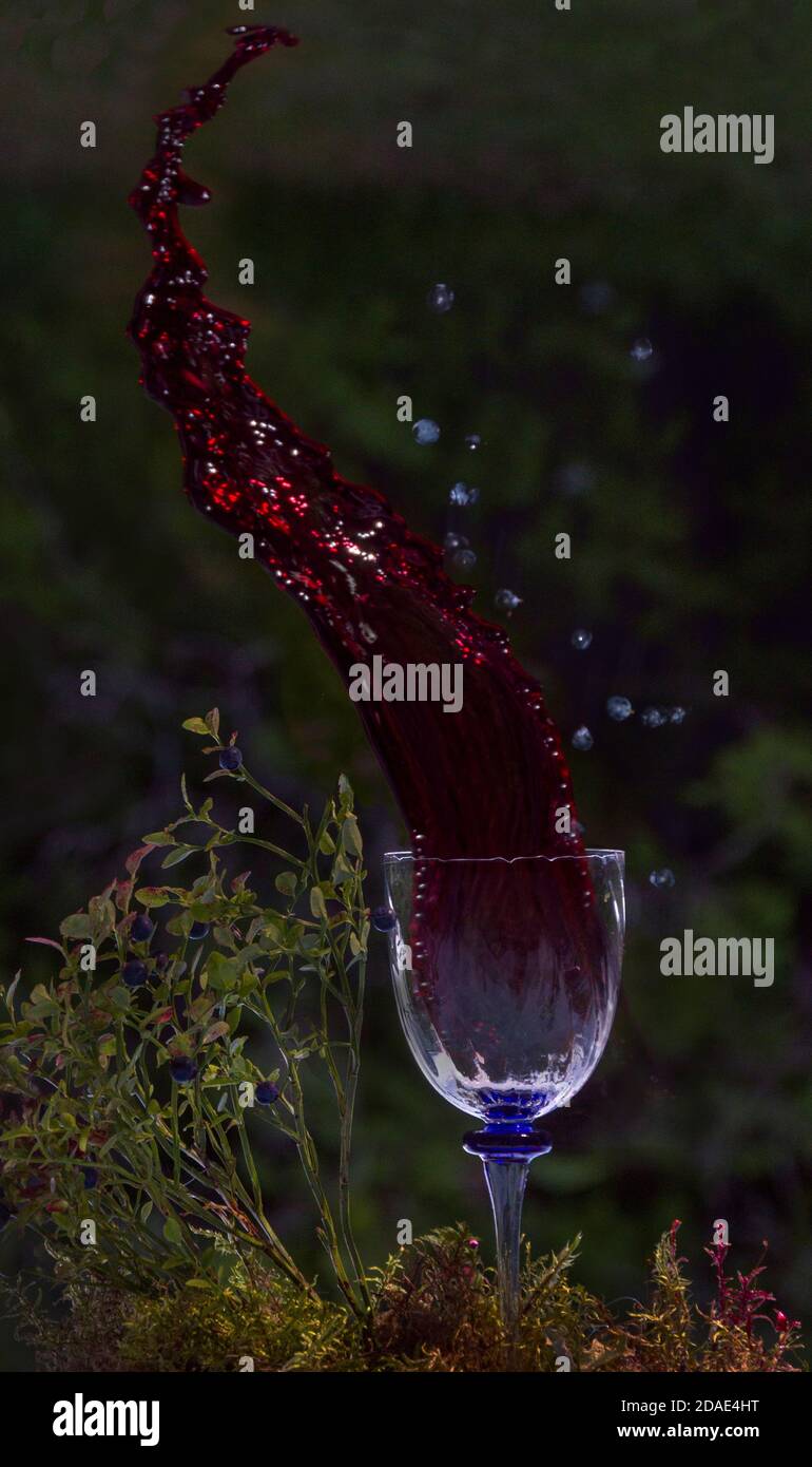 Scena di spruzzi di vino fatti in casa. Vino rosso sullo sfondo del giardino. Foto Stock
