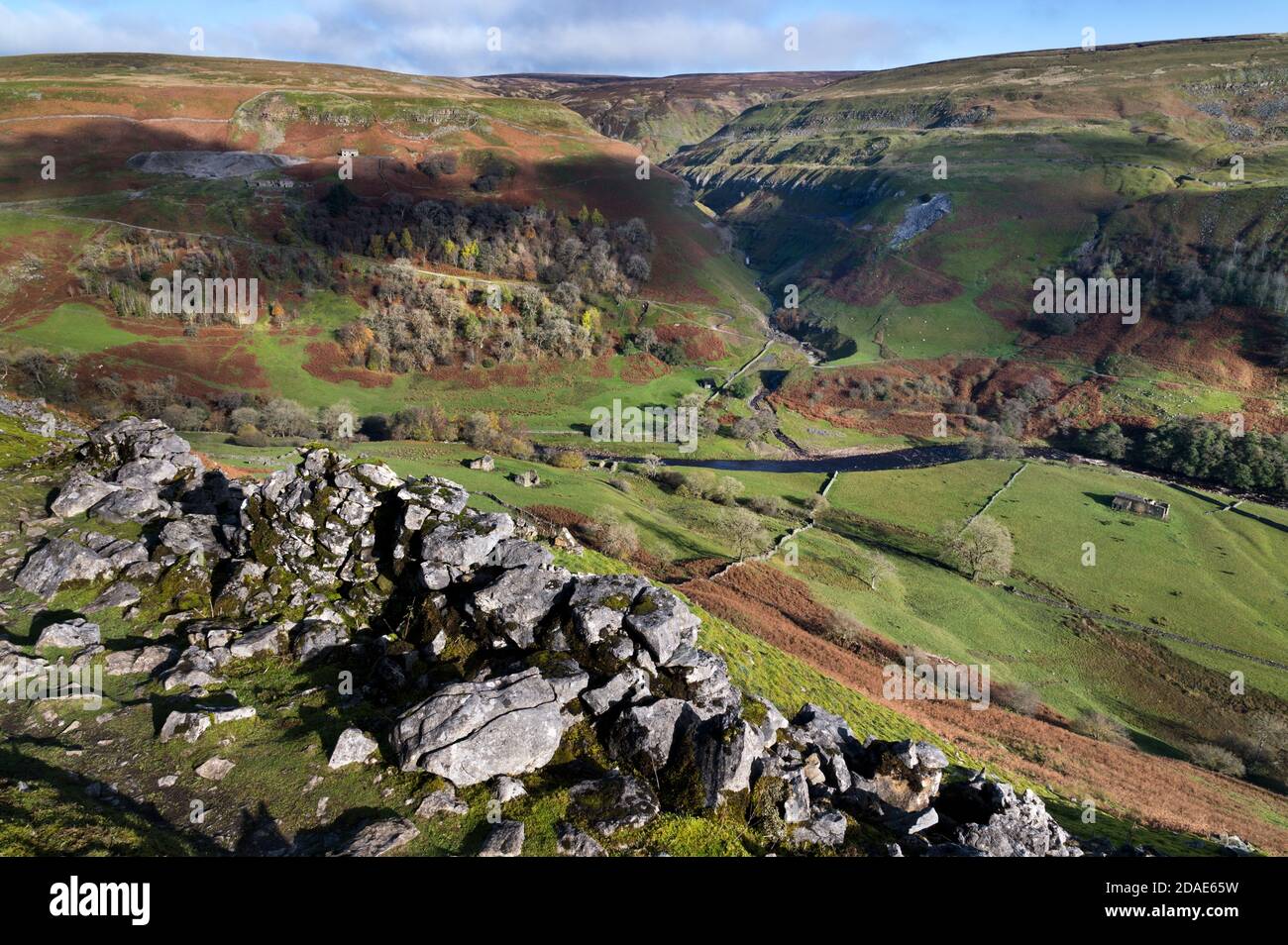 Vista autunnale di Swaledale, a monte del villaggio di Muker nel Parco Nazionale delle Dales dello Yorkshire, Regno Unito. Vista dal sentiero Pennine Way. Foto Stock