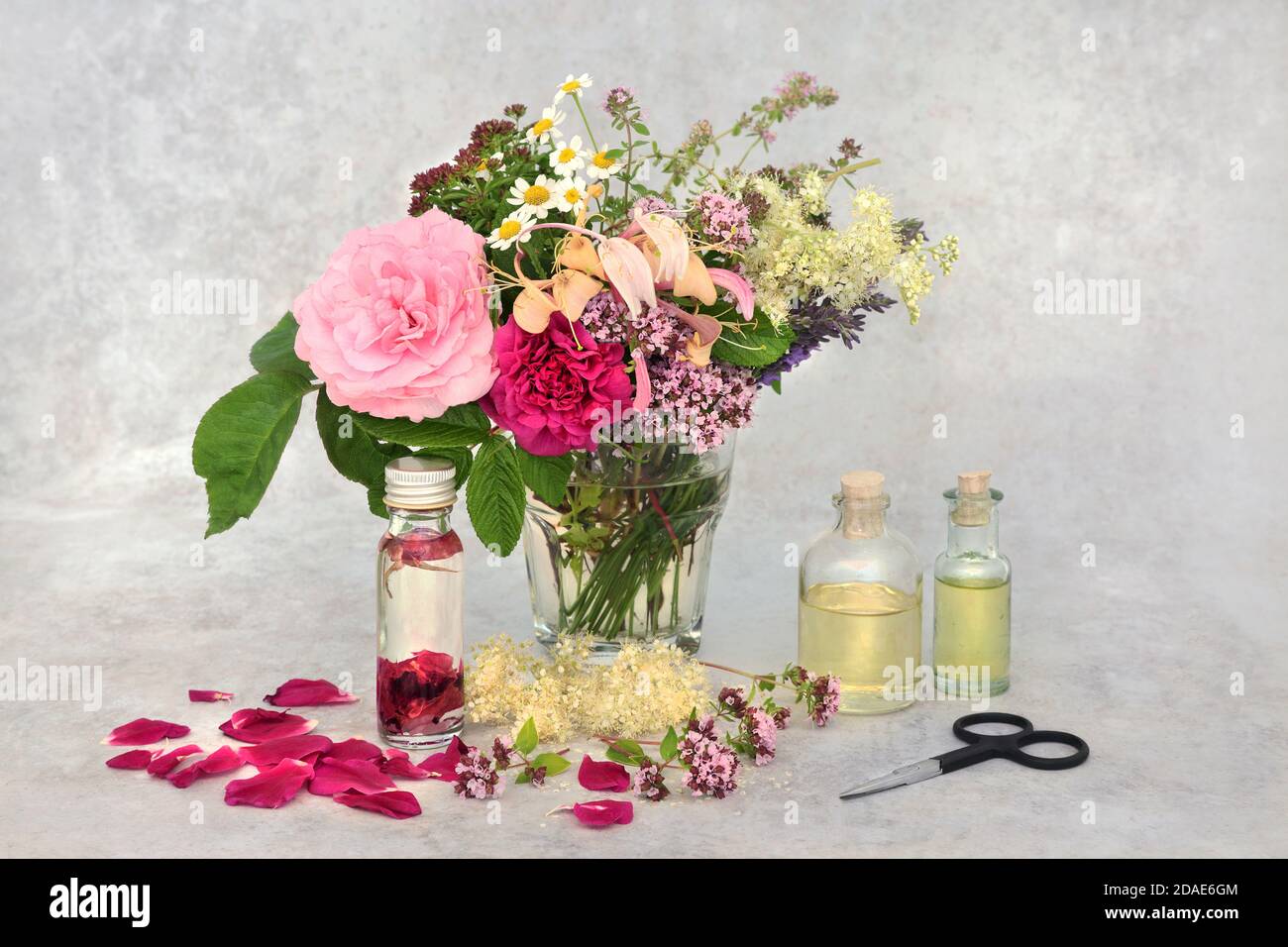Aromaterapia preparazione di olio essenziale con erbe e fiori estivi in un vaso per l'infusione in olio. Still life con bottiglie e forbici su grigio chiazzato Foto Stock
