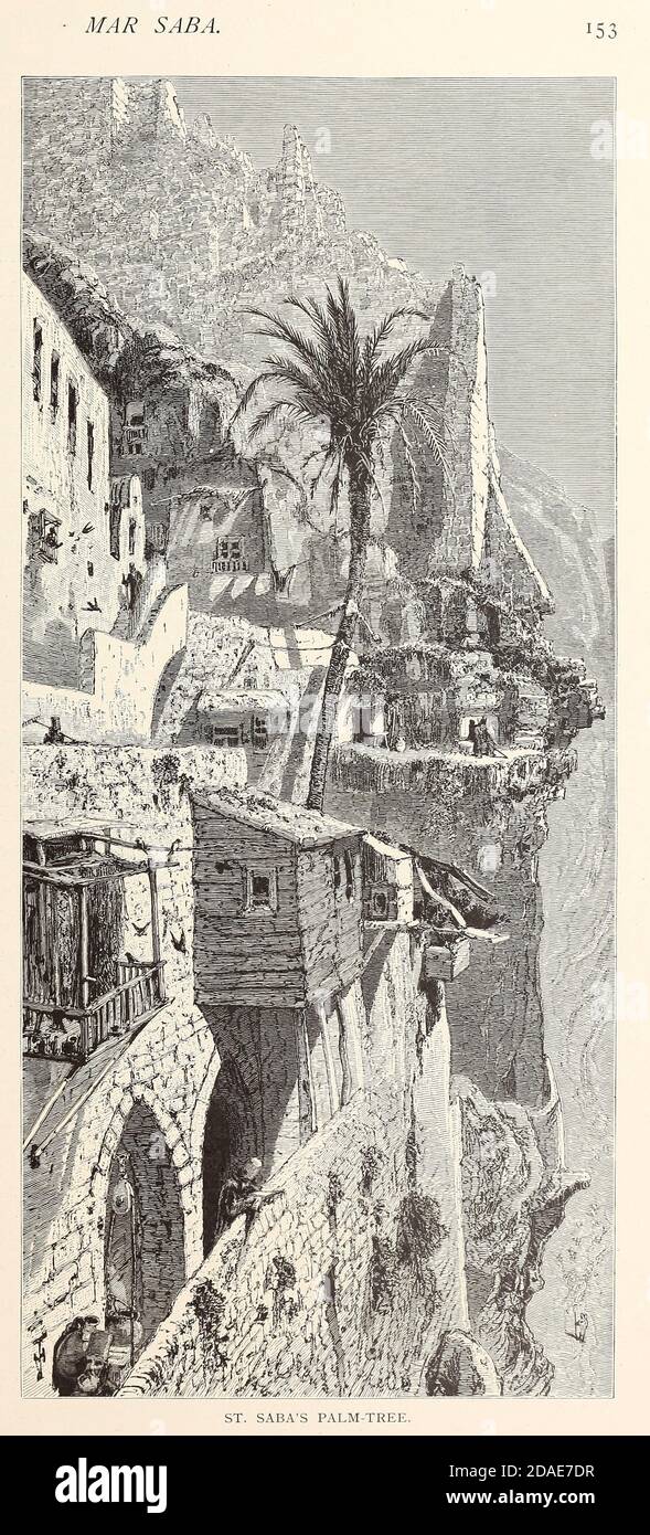 Albero delle palme di San Sabas a Mar Saba, Cisgiordania, Palestina. Dal libro pittoresco Palestina, Sinai, ed Egitto dal colonnello Wilson, Charles William, Sir, 1836-1905. Pubblicato a New York da D. Appleton and Company nel 1881 con incisioni in acciaio e legno da disegni originali di Harry Fenn e J. D. Woodward Volume 1 Foto Stock