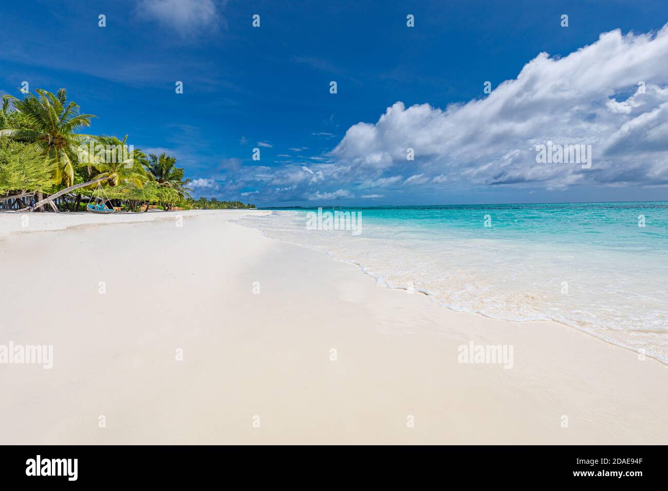 Belle palme da spiaggia e cielo di luna. Vacanza estiva viaggio vacanza concetto di sfondo. Maldive paradiso spiaggia. Vacanza estiva di lusso Foto Stock