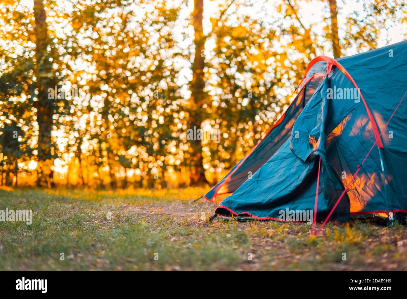 Bellissimi raggi del sole attraverso le foglie della foresta, alberi. Primavera estate natura prato paesaggio offuscato. Mattina ombre e luci, escursioni, ricreative Foto Stock