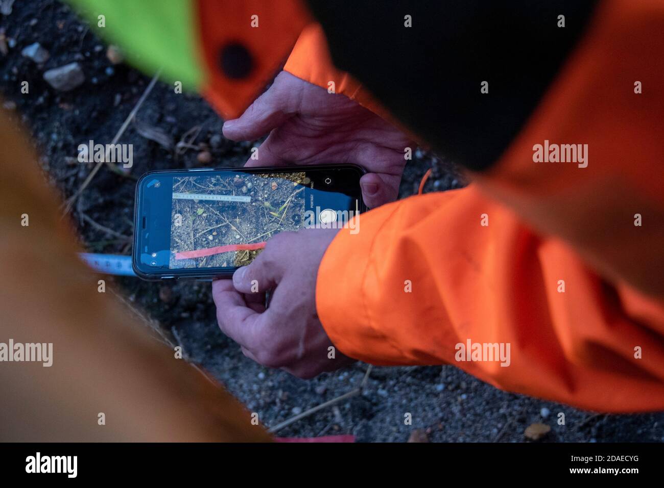 Un cacciatore fotografa le tracce sospette di lupo Foto Stock