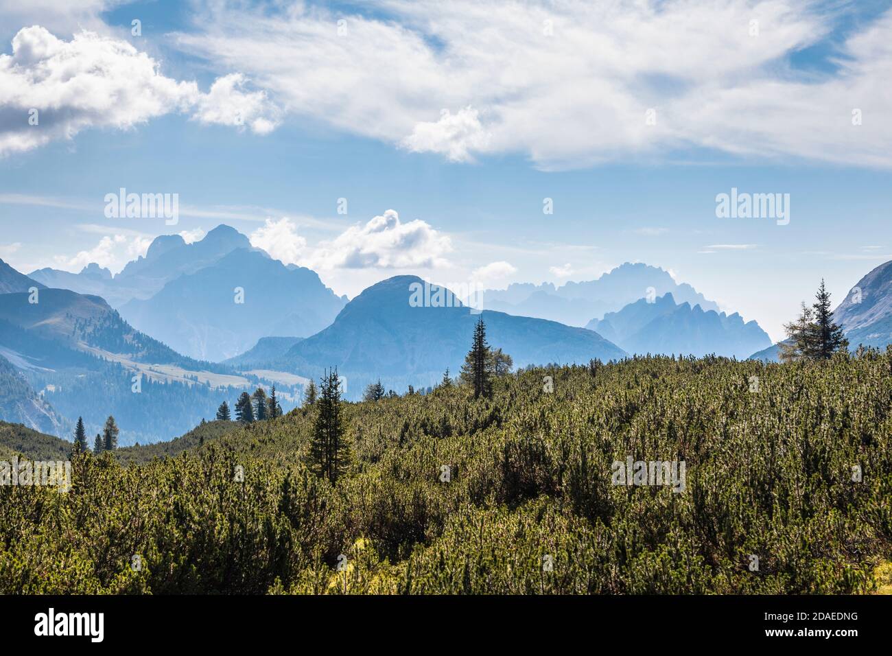 Dall'alta valle della Salata uno sguardo verso Cortina d'Ampezzo, sullo sfondo Monte Cristallo, Dolomiti, Belluno, Veneto, Italia Foto Stock