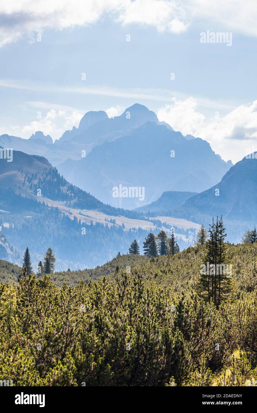 Dall'alta valle della Salata uno sguardo verso Cortina d'Ampezzo, sullo sfondo Monte Cristallo, Dolomiti, Belluno, Veneto, Italia Foto Stock