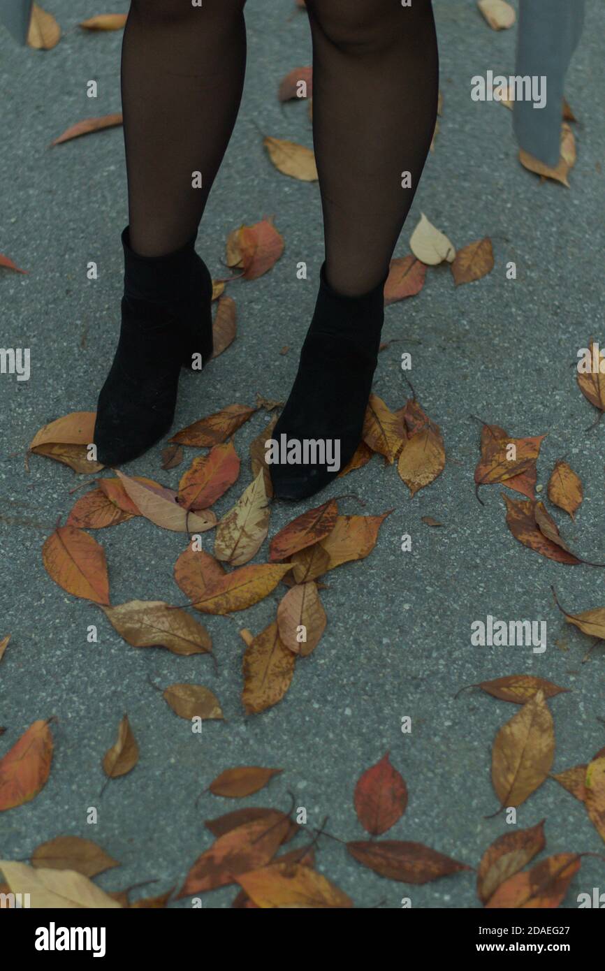Donna con scarpe nere e calze con foglie autunnali sulla strada Foto Stock
