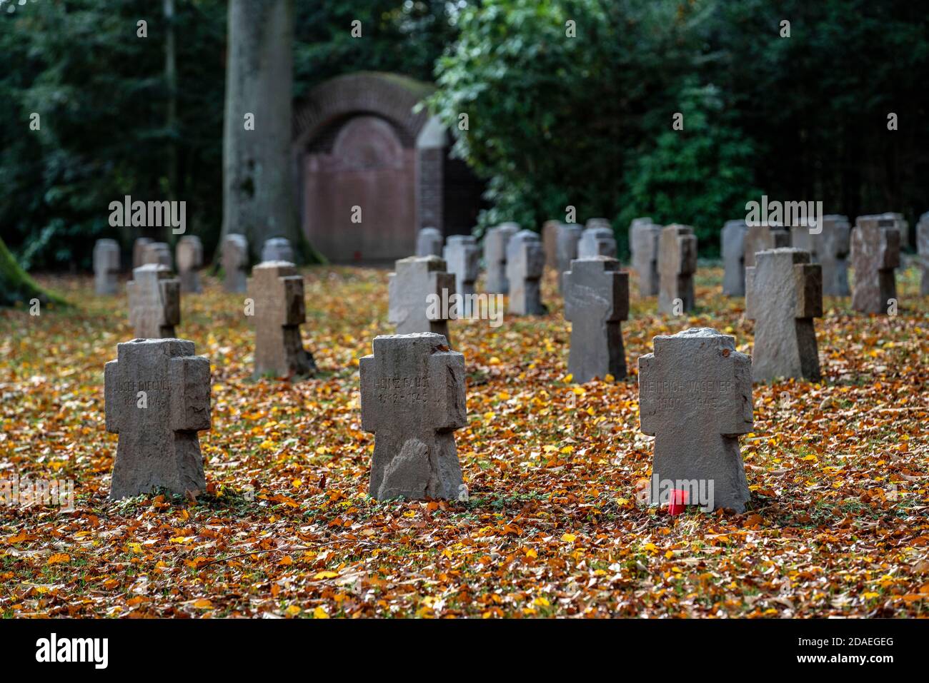 Tombe di guerra nel cimitero Stadtwald di Essen-Kettwig, Essen, NRW, Germania Foto Stock