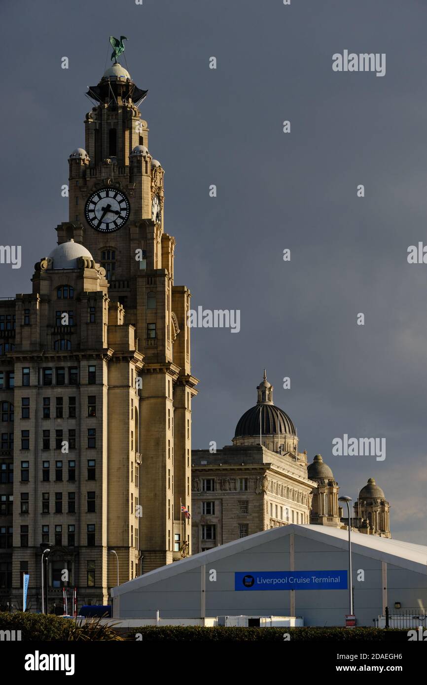 Il Liver Building cattura la luce del sole sotto i cieli bui di Liverpool, Inghilterra Foto Stock