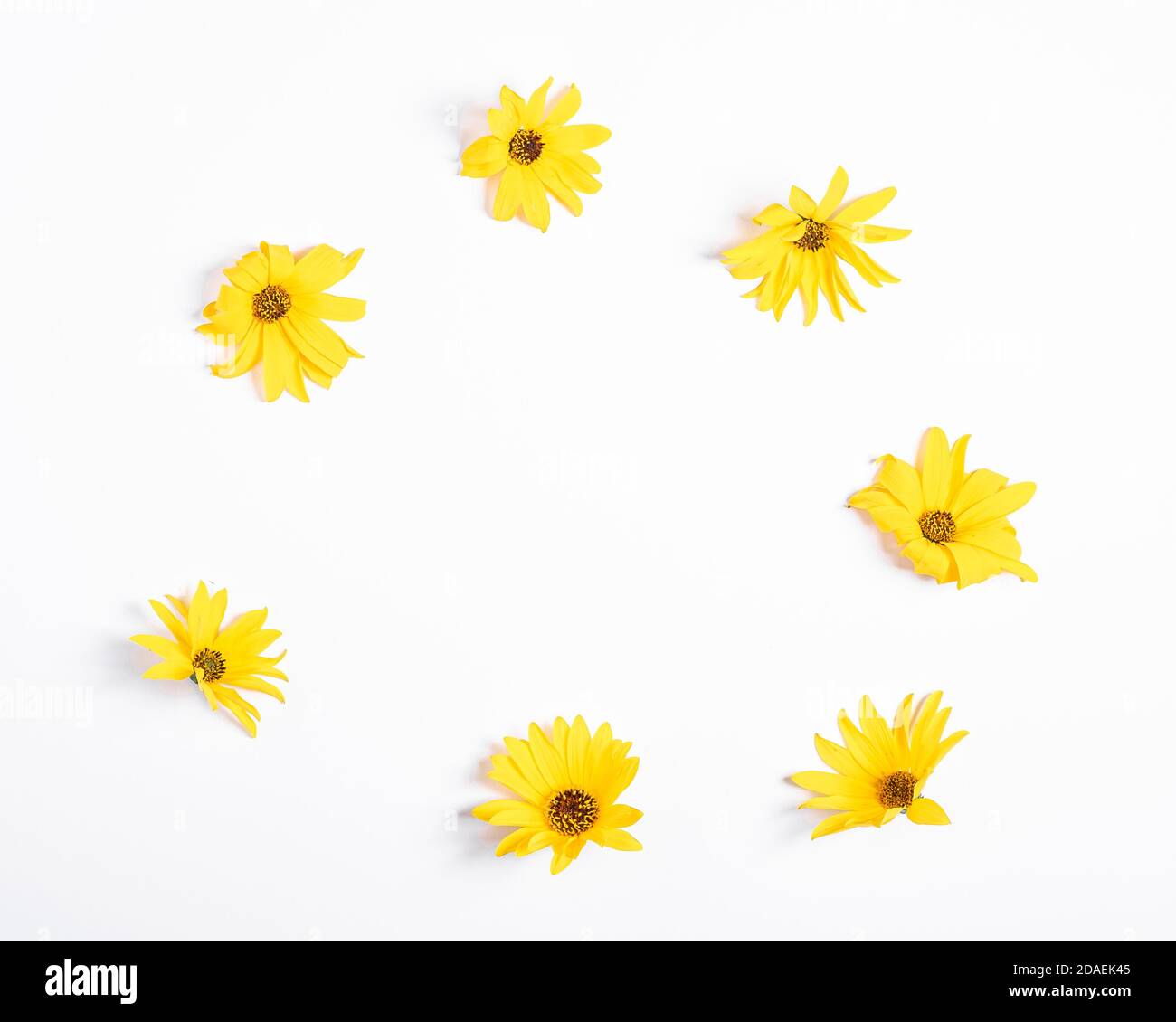 Corona di fiori gialli su sfondo bianco, spazio di copia piatto Foto Stock