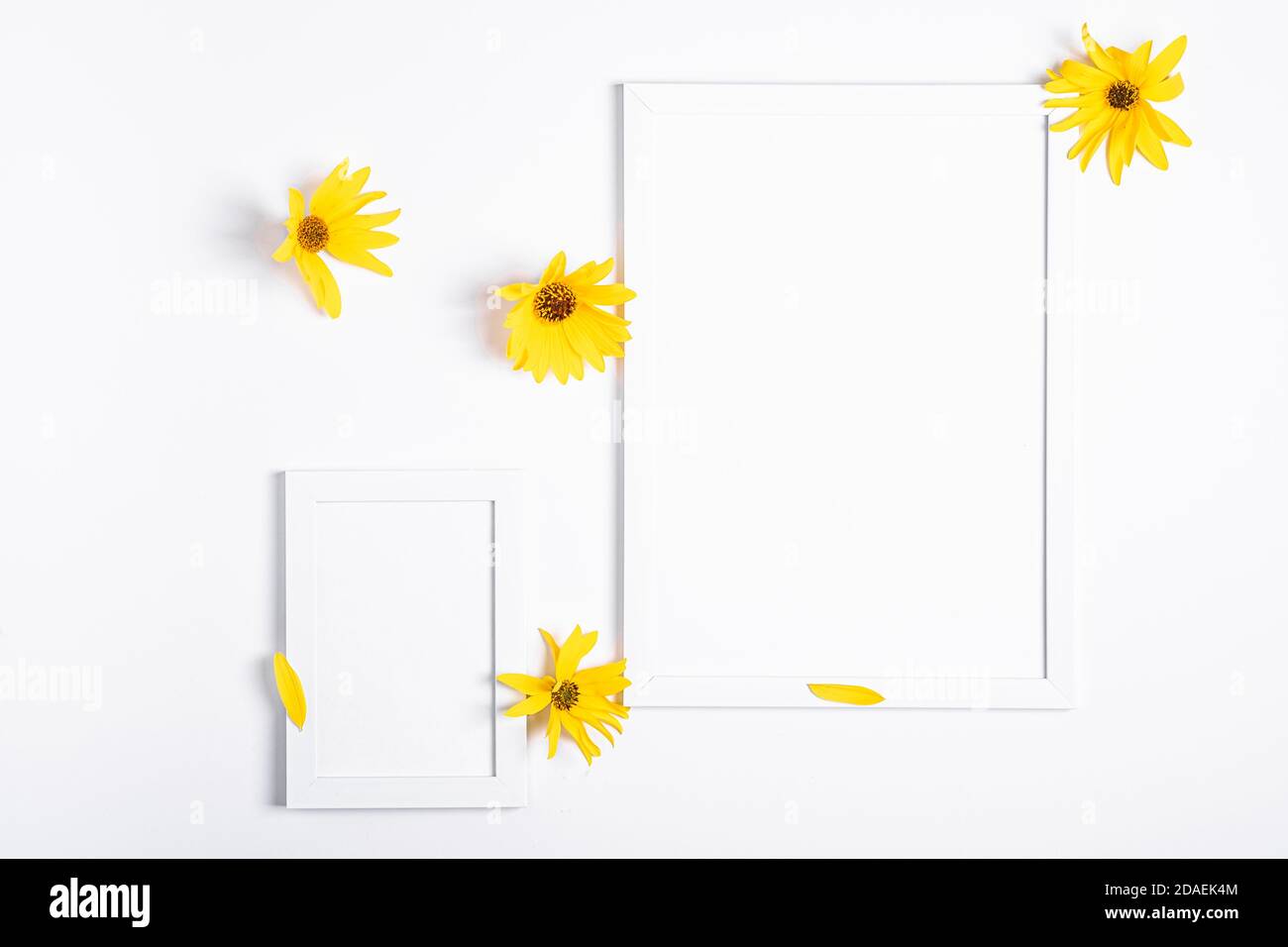 Cornice bianca vuota mock up con fiore giallo su sfondo bianco, piatto Foto Stock