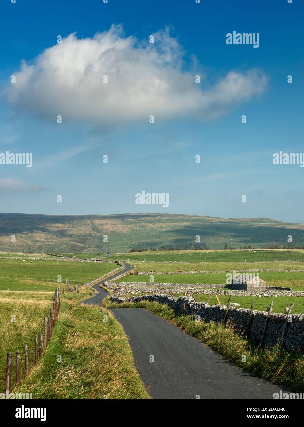 Paesaggio del Regno Unito: Immagine verticale di viste mozzafiato della corsia di campagna attraverso Malham Moor con vecchio fienile di pietra, Yorkshire Dales National Park in bella Foto Stock