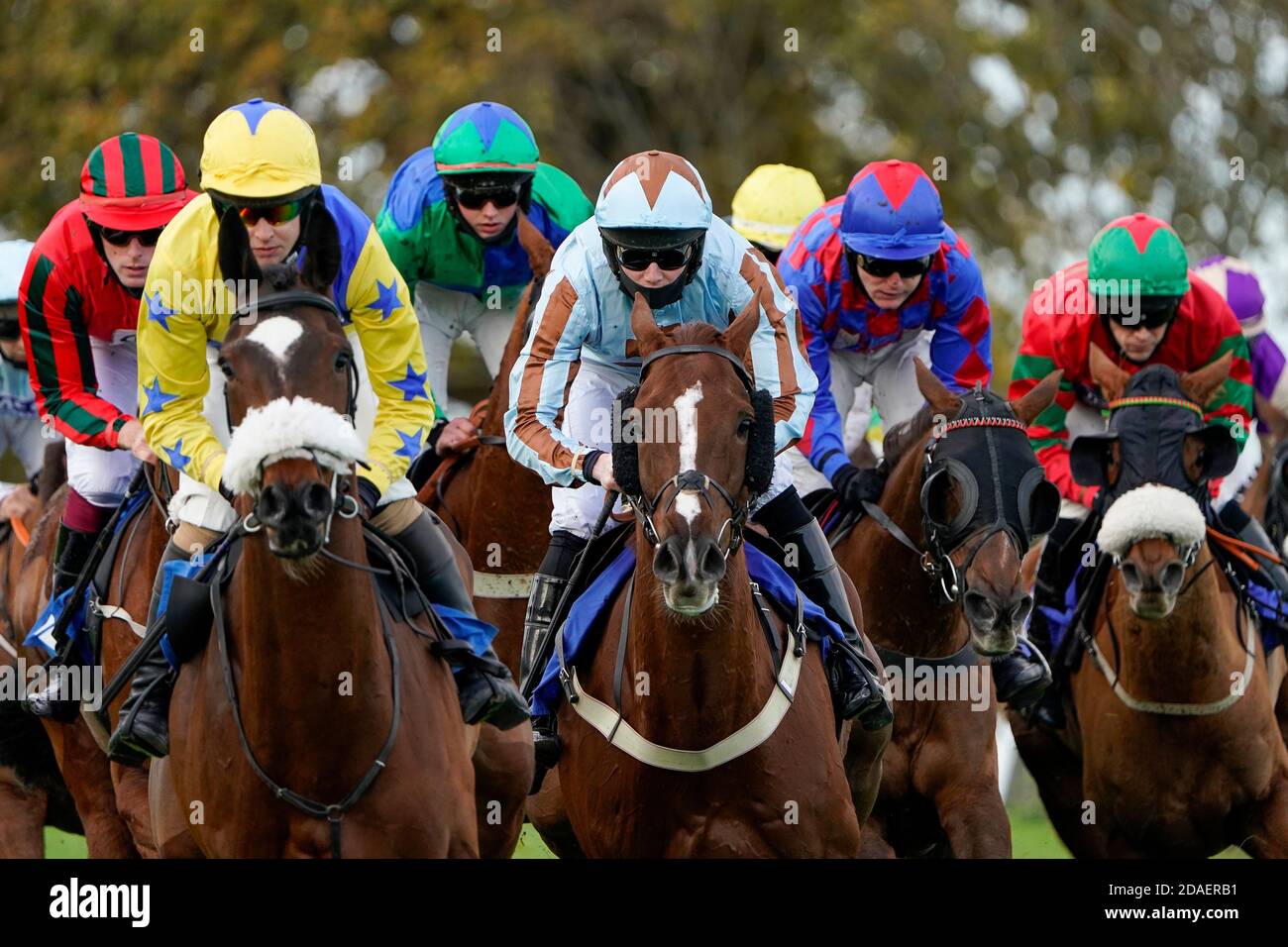 Una visione generale dell'azione durante il Cornish Rock Gin Selling hurdle all'Ippodromo di Taunton, Taunton. Foto Stock