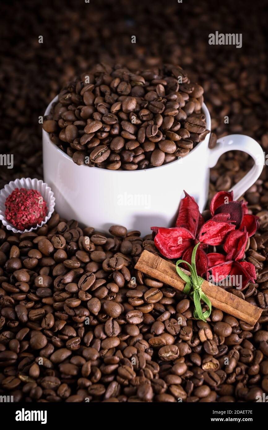 Tazza bianca piena di chicchi di caffè su fondo di chicchi di caffè con fiori rossi e cannella. Espresso del mattino. Tazza di caffè. Foto Stock