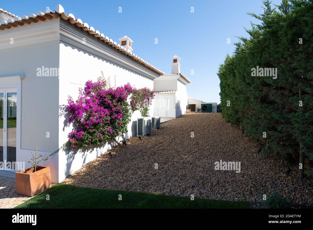 Lato della casa con ghiaia sul terreno, grande siepe e borgainvillea Foto Stock