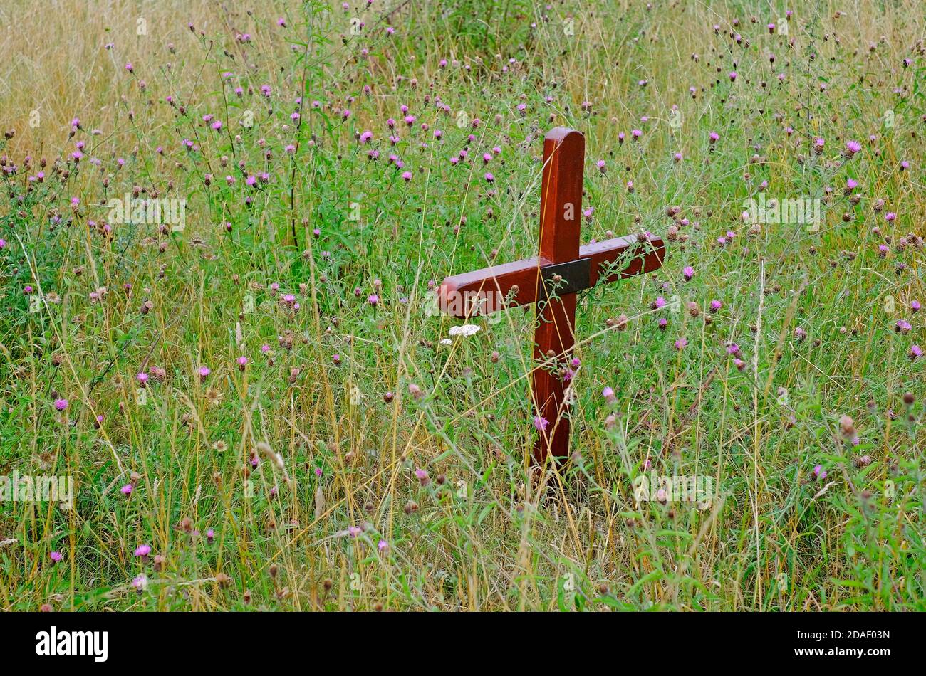 croce di legno tra fiori selvatici nel cimitero della chiesa, norfolk, inghilterra Foto Stock