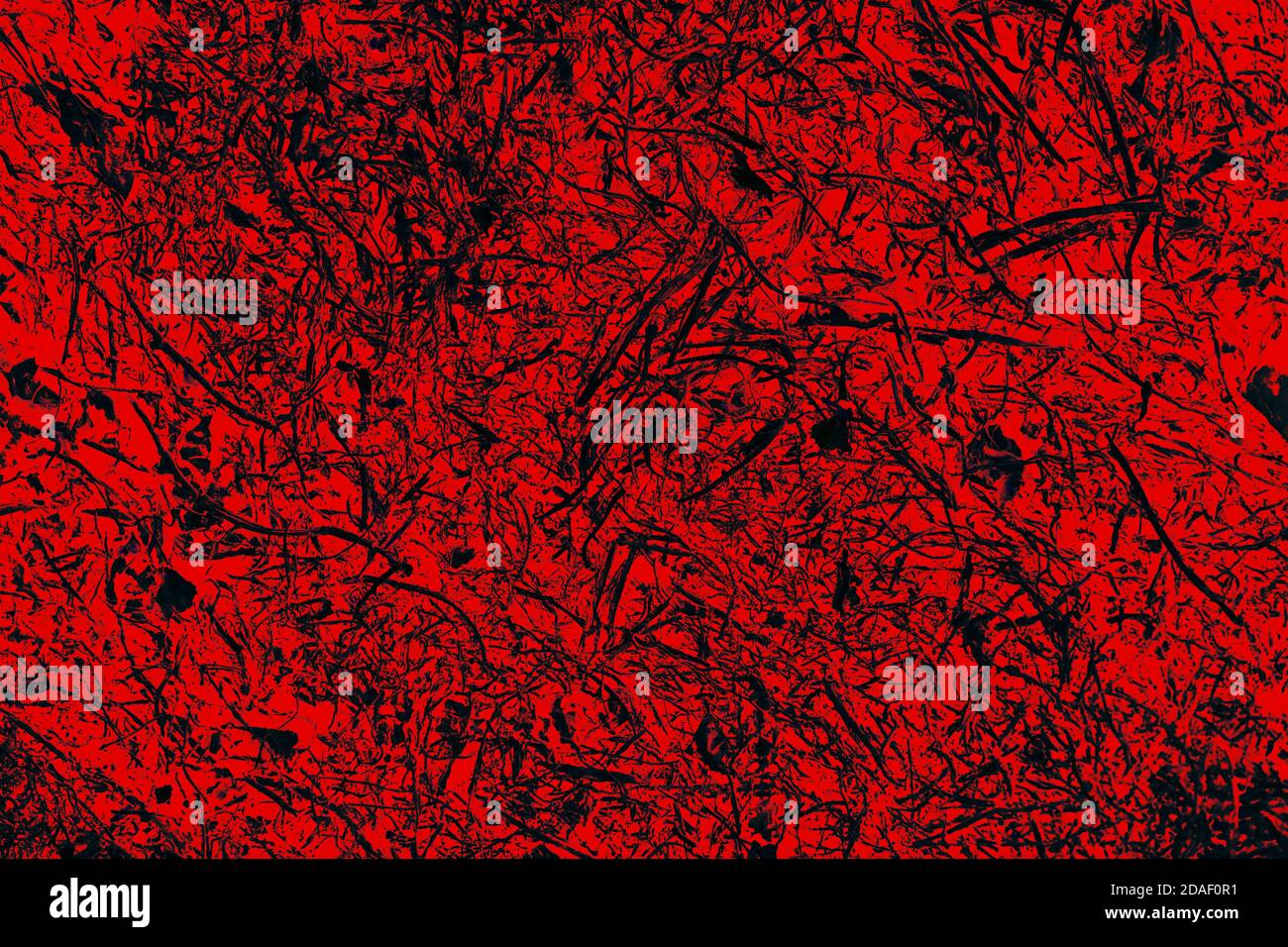 Foto di un unico sfondo astratto. Superficie rossa con macchie nere. Foto Stock