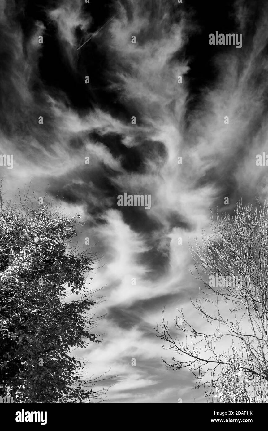 Spettacolare visualizzazione di Cirrus Cloud su un luminoso e Sunny Novembre mattina nel sud-est dell'Inghilterra in bianco e nero Foto Stock