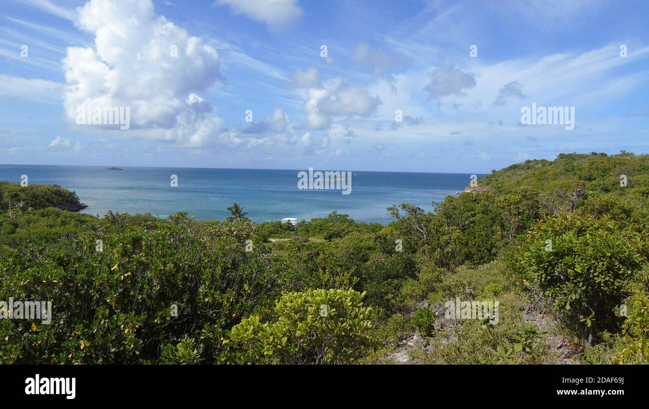 Vista dall'Isola degli Uccelli, Antigua. Lussureggiante paesaggio di alberi verdi e mare blu luminoso. Foto Stock
