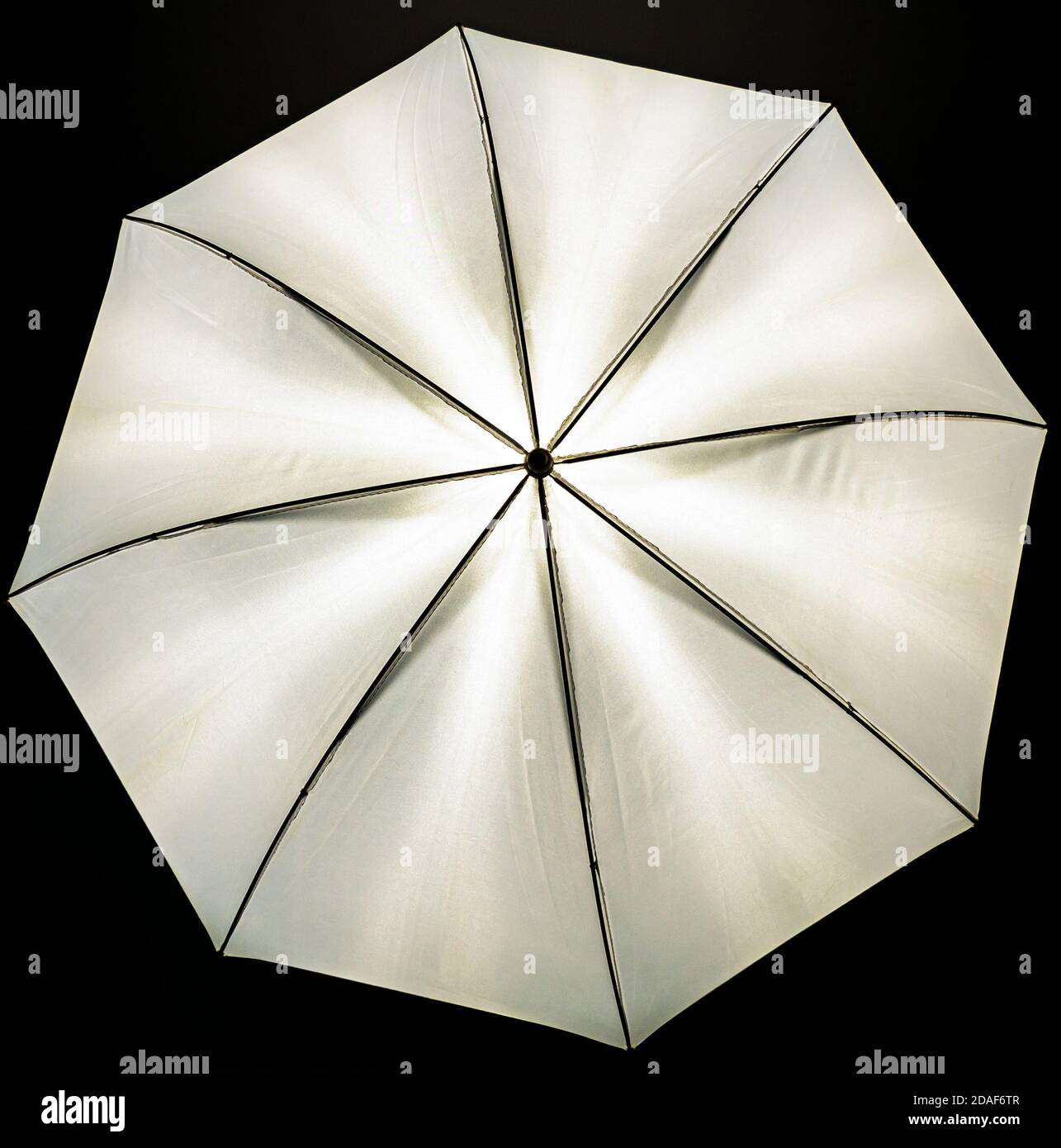 Una vista dell'ombrello fotografico illuminato - una luce addolcitore - sfondo nero Foto Stock