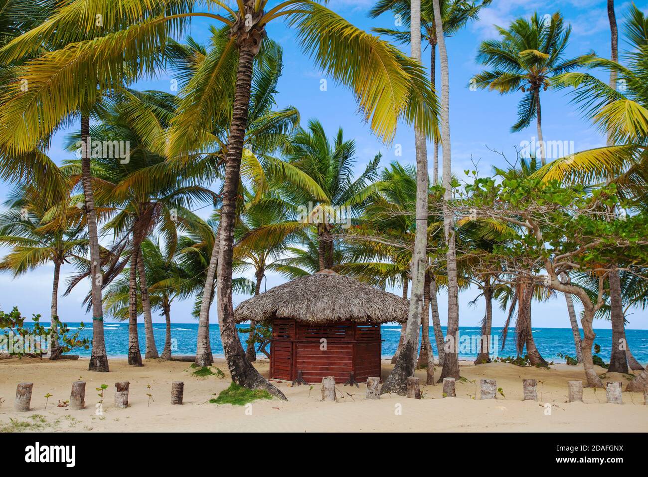 Repubblica Dominicana, penisola di Samana, spiaggia di Las Terrenas Foto Stock