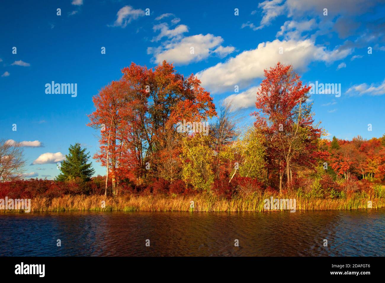 Brady's Lake, un lago ricreativo sulla Pennsylvania state Game Lands, in autunno nelle Pocono Mountains. Foto Stock