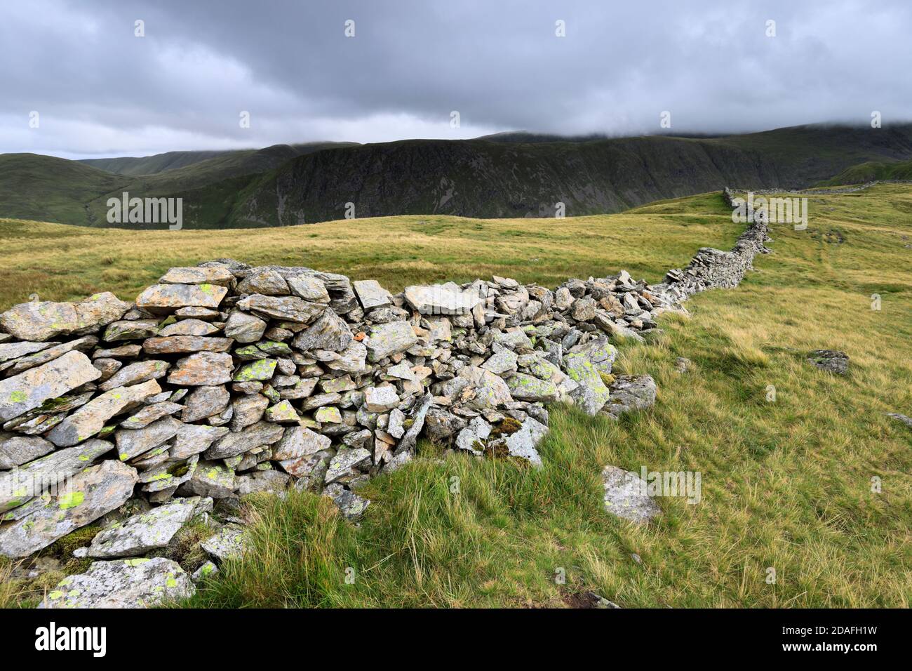 Vista di Hartsop Dodd Fell, Hartsop villaggio, passo Kirkstone, Lake District National Park, Cumbria, Inghilterra, Gran Bretagna High Hartsop Dodd Fell è uno dei 214 Foto Stock