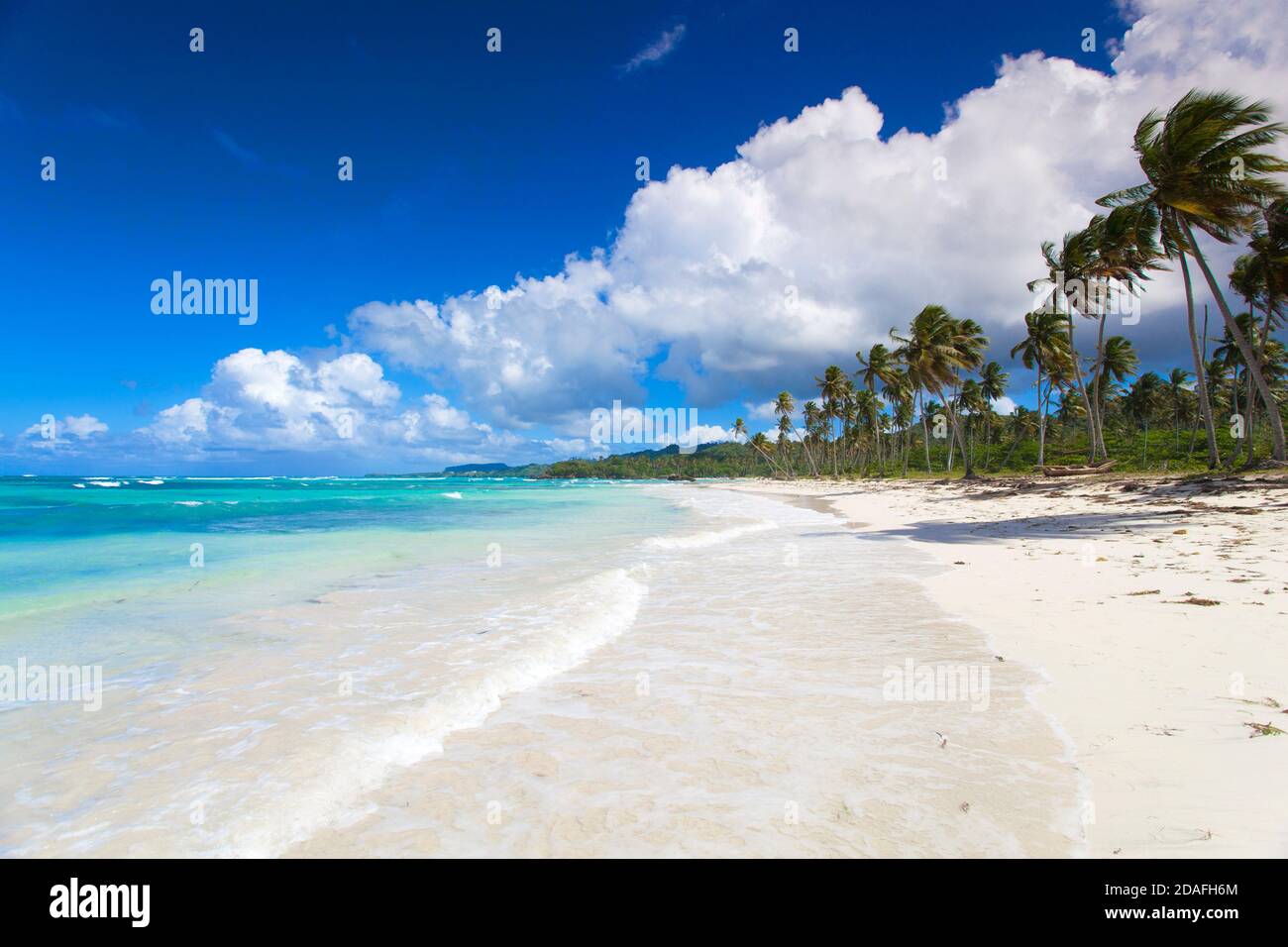 Repubblica Dominicana, penisola di Samana, Playa Rincon Foto Stock