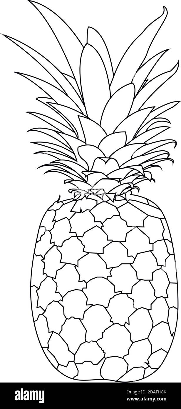 Ananas in bianco e nero con Line Art o stile abbozzato Illustrazione Vettoriale