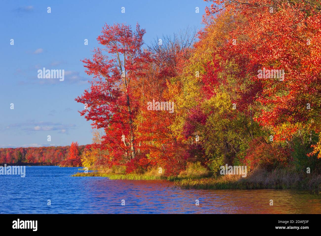 Brady's Lake, un lago ricreativo sulla Pennsylvania state Game Lands, in autunno nelle Pocono Mountains. Foto Stock