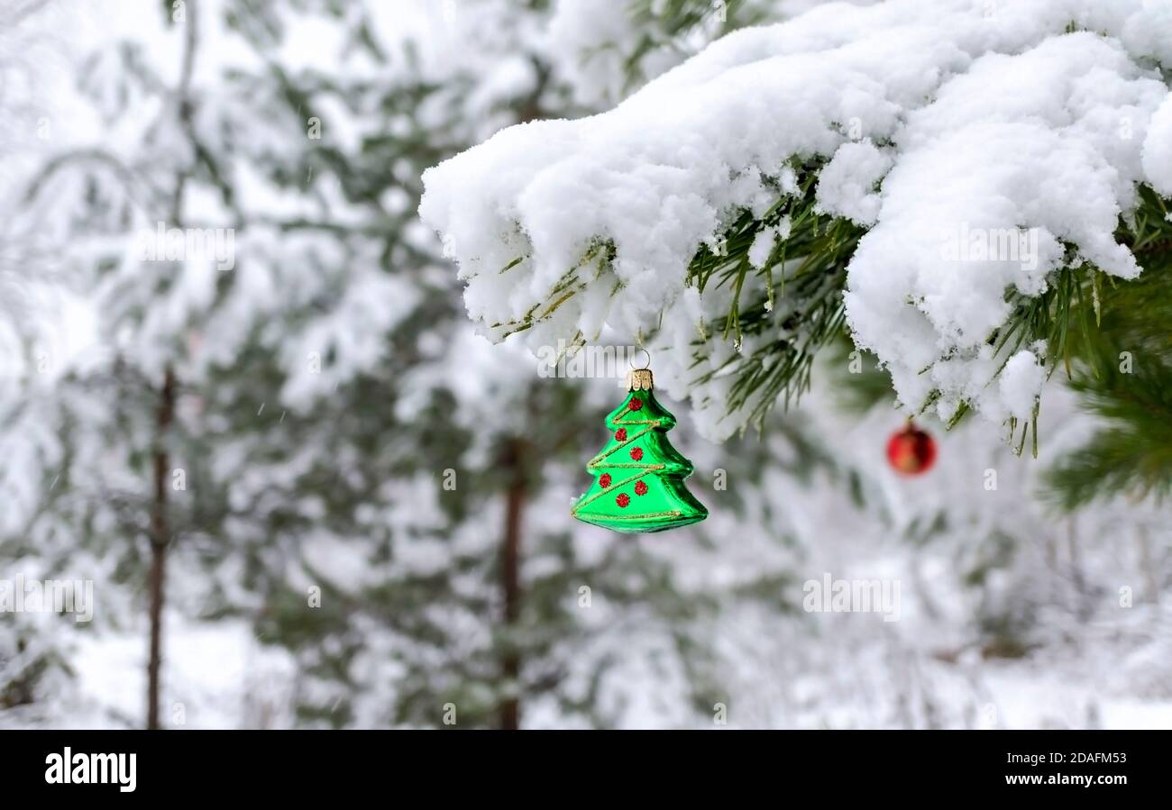 Sfondo natalizio con un giocattolo verde sull'albero di Natale su un ramo di pino innevato con uno spazio per la copia. Festa di Capodanno, festa di natale, greetin Foto Stock
