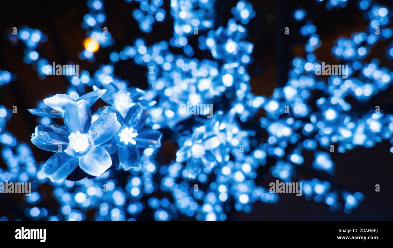 Primo piano ciliegio a LED su albero artificiale, ghirlanda blu chiaro. Messa a fuoco selettiva, sfondo sfocato, spazio di copia Foto Stock