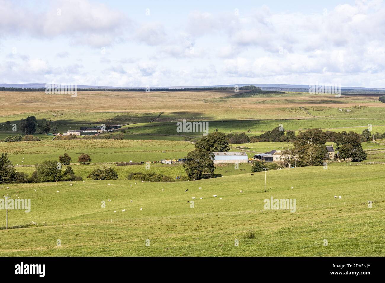 Le remote fattorie montane di Cairny Croft e Low Old Shields sulle Pennines vicino a Greenhead, Northumberland UK Foto Stock