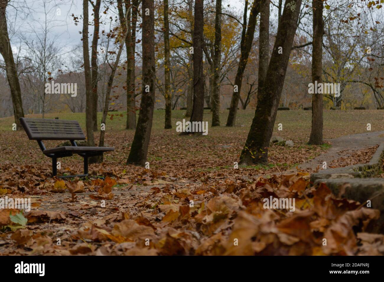 Parcheggia la panchina accanto a un sentiero coperto di foglie autunnali Foto Stock