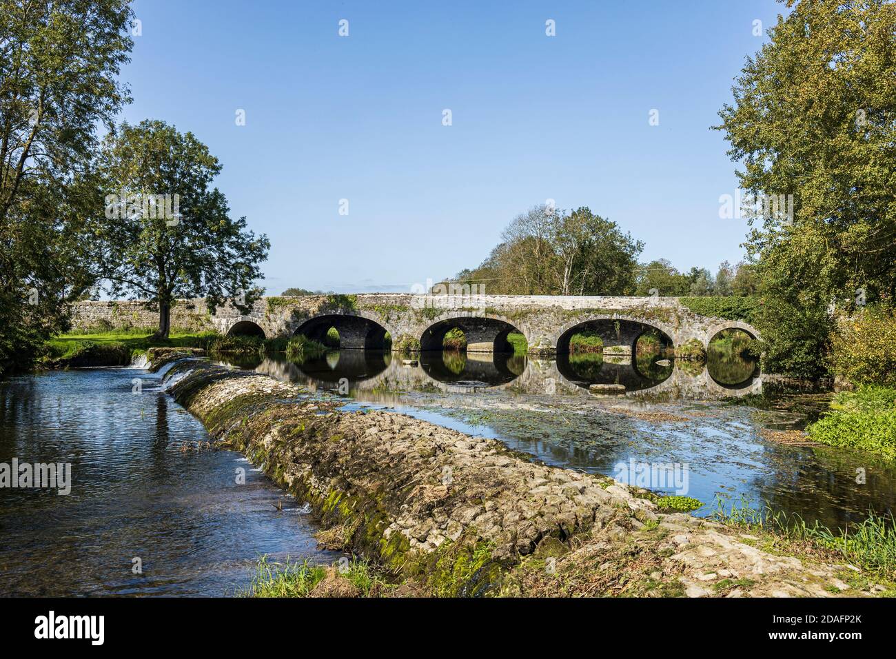 Nove archi, cinque archi, ponte separato sul fiume Kings e pietra strana a Kells, County Kilkenny, Irlanda Foto Stock