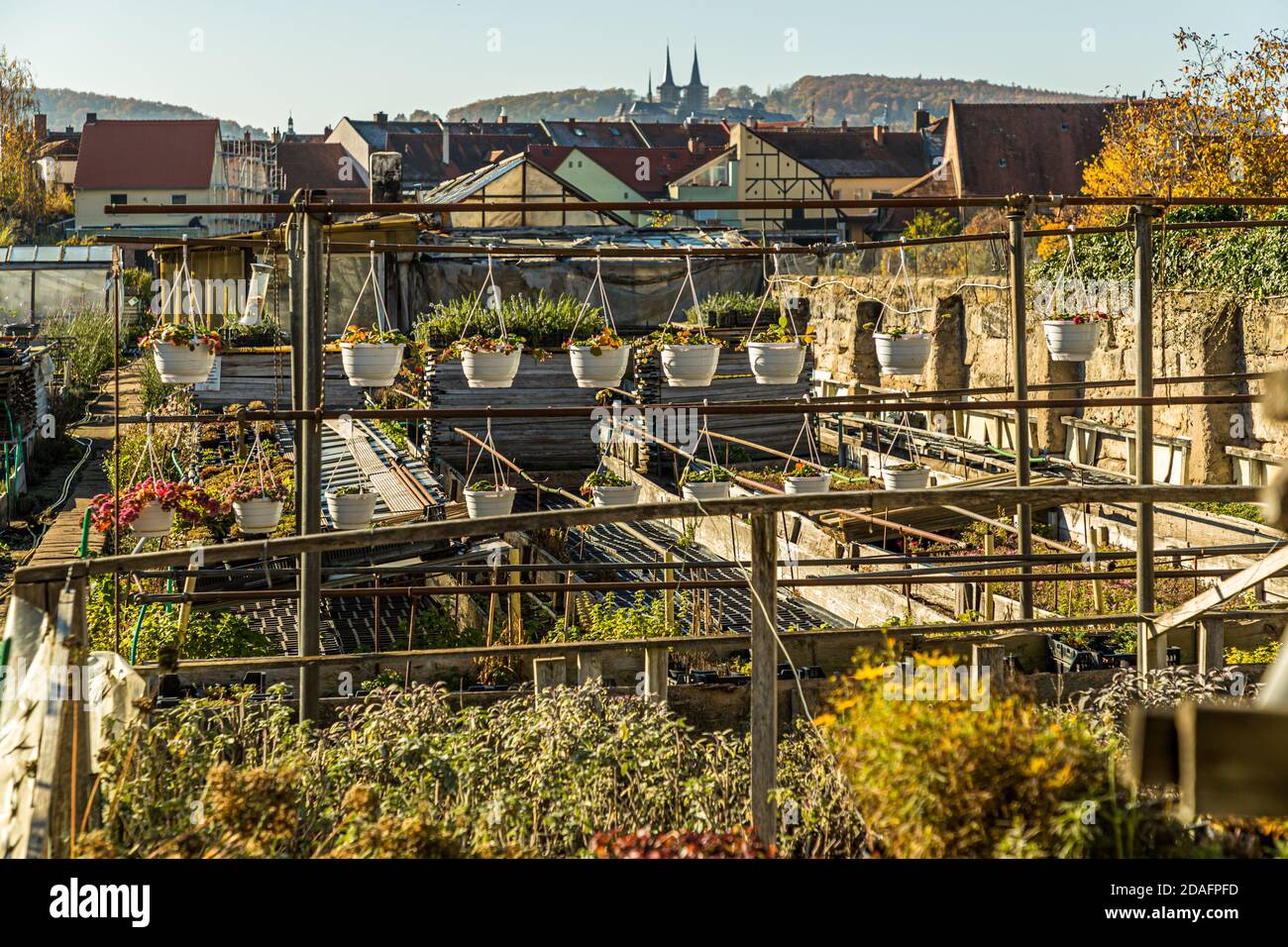 Giardino con le guglie della Cattedrale di Bamberga. Il Distretto dei Giardinieri del mercato di Bamberga è patrimonio mondiale dell'UNESCO dal 1993 Foto Stock