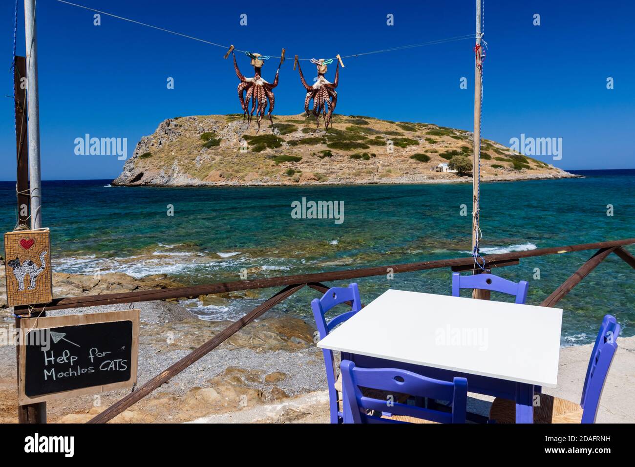 Octopus appena pescato appeso e asciugato al sole su un'isola greca (Mochlos, Creta) Foto Stock