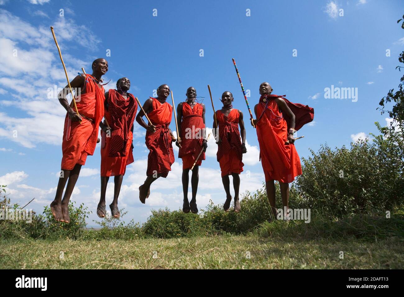 Tribù Masai di eseguire salti di danza, Masai Mara, Kenya Foto Stock