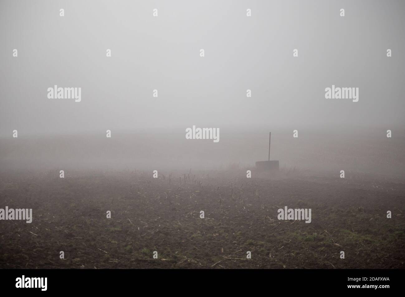 nebbia fitta sul campo, giorno di autunno foggy, anello di cemento nel campo Foto Stock