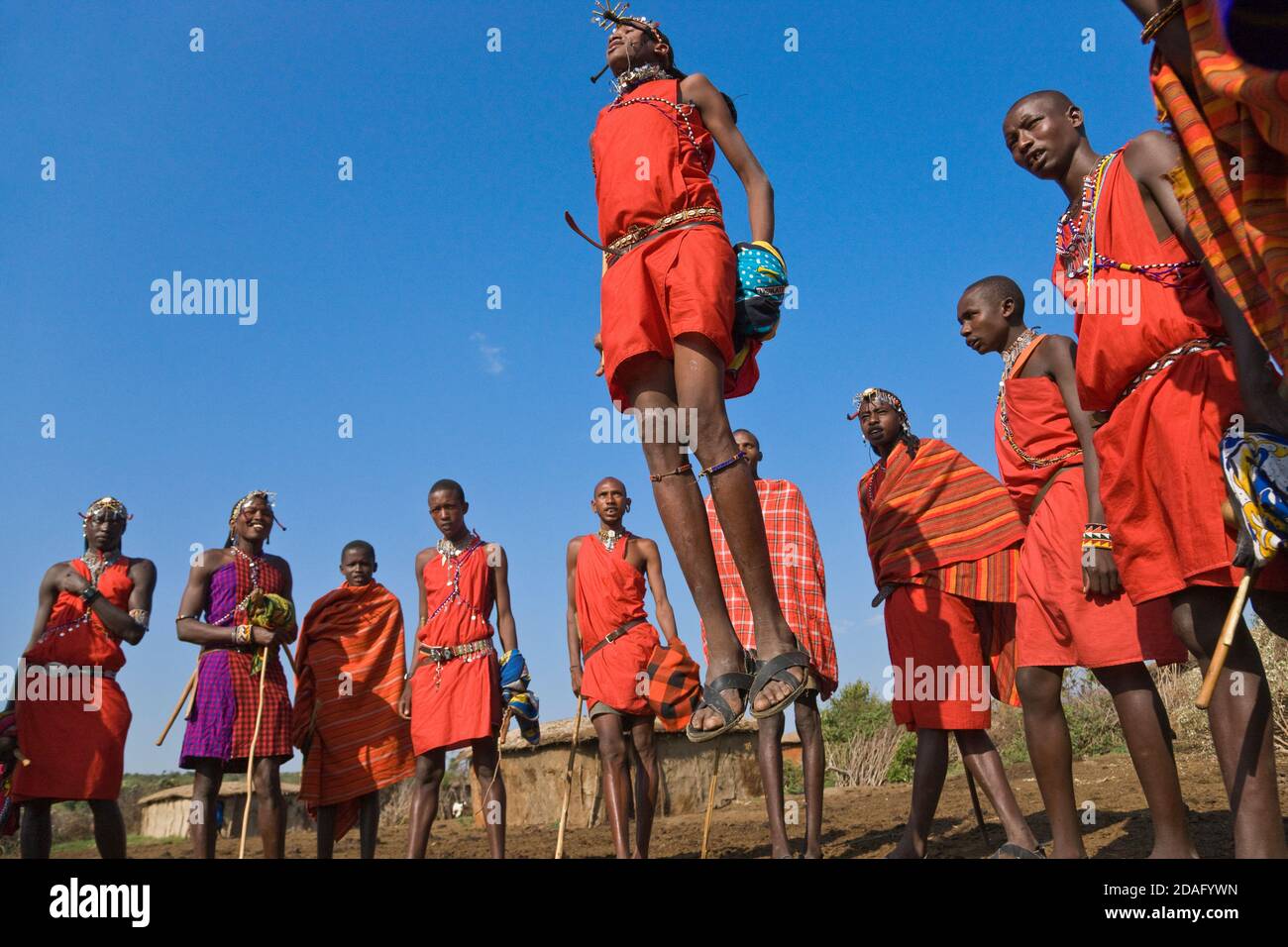 Tribù Masai di eseguire salti di danza, Masai Mara, Kenya Foto Stock