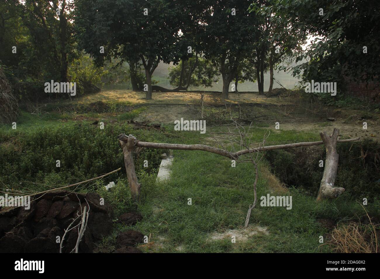 Backyard mattina Foto Stock