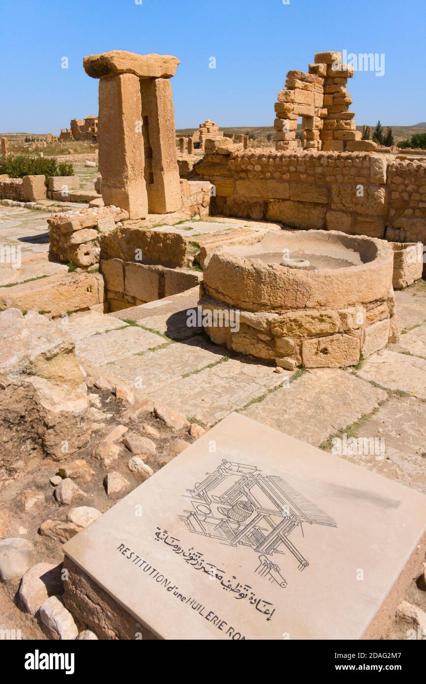 Rovine romane, bagni termali, Sbeitla, Tunisia Foto Stock
